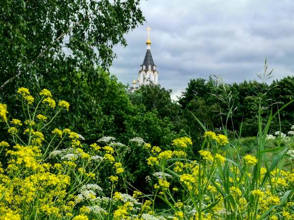 Июньский полдень